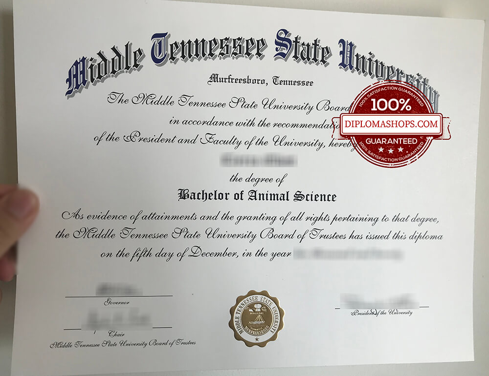 fake Middle Tennessee State University diploma