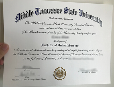 Middle Tennessee State University fake diploma