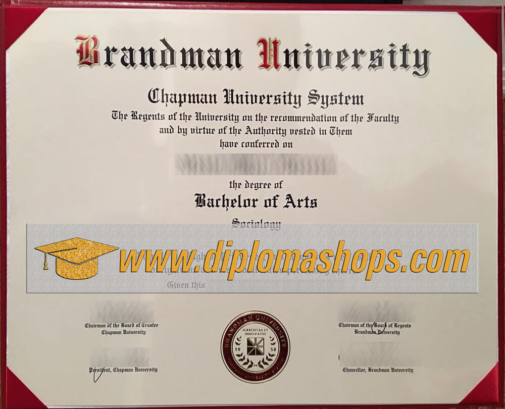 fake Brandman University diploma