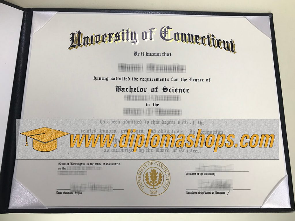 fake University of Connecticut diploma