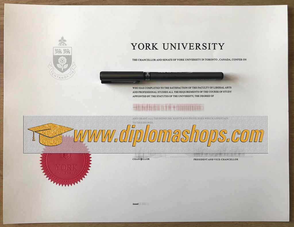 fake York University diploma