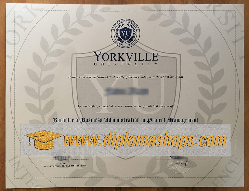 fake York Ville university diploma