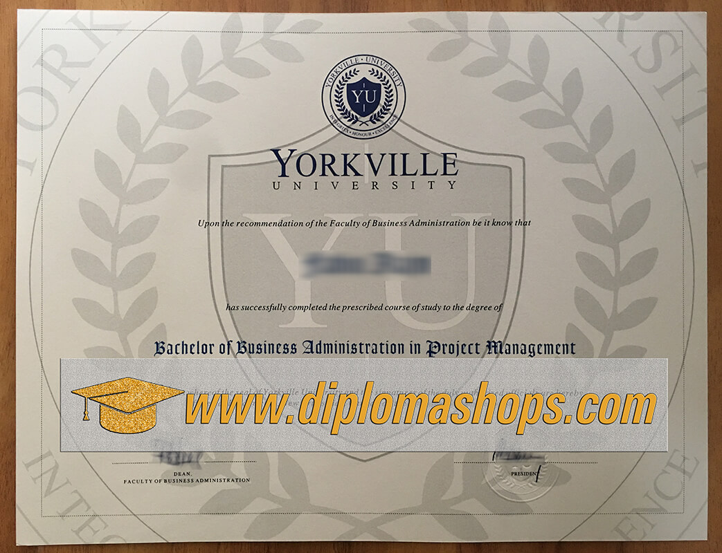 fake-York-Ville-university-diploma