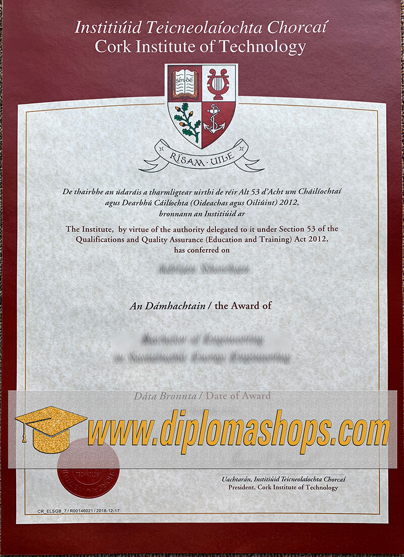 Cork Institute of Technology diploma