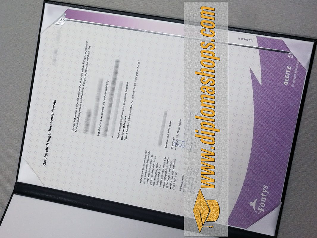 Fontys University diploma