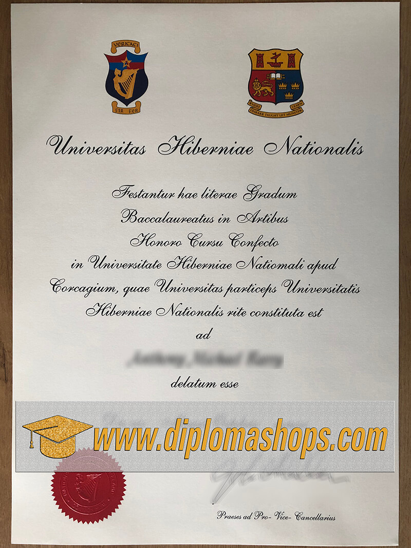 National University of Ireland diploma