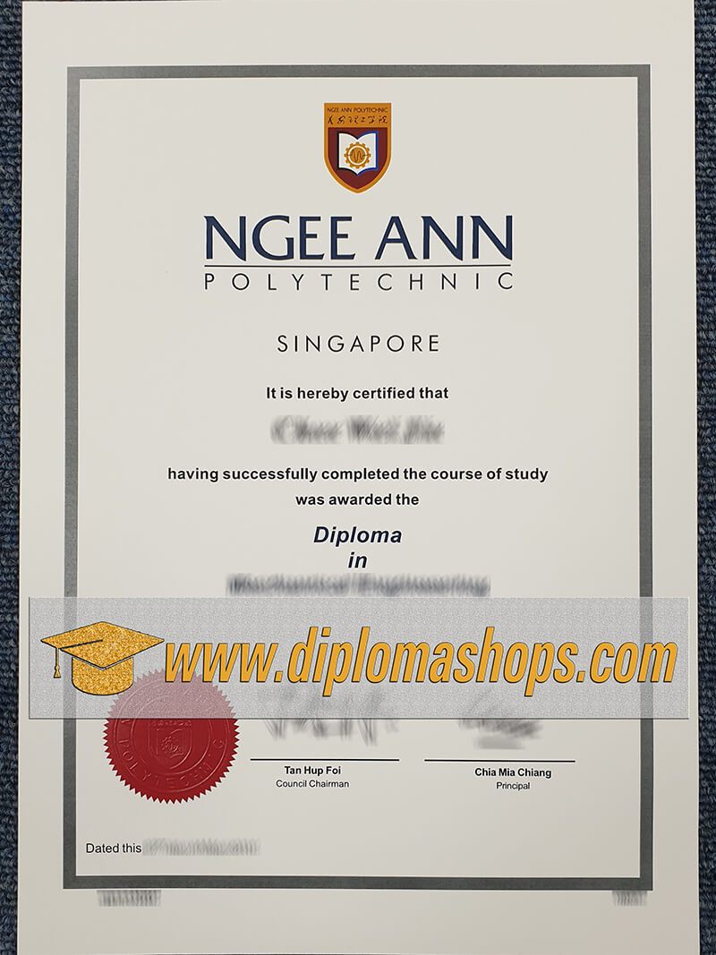 Ngee Ann Polytechnic diploma