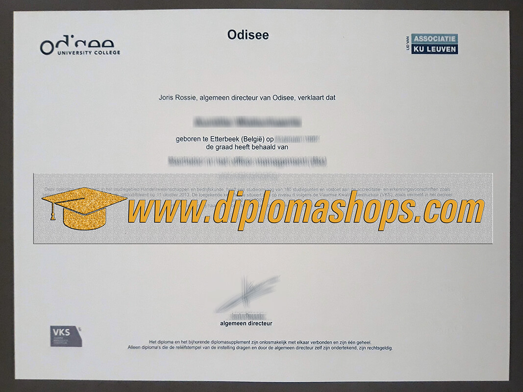 Odisee University College diploma