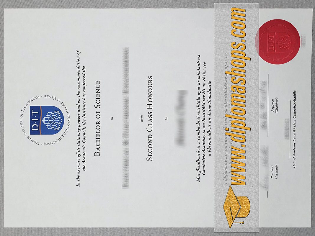 Technological University Dublin fake diploma