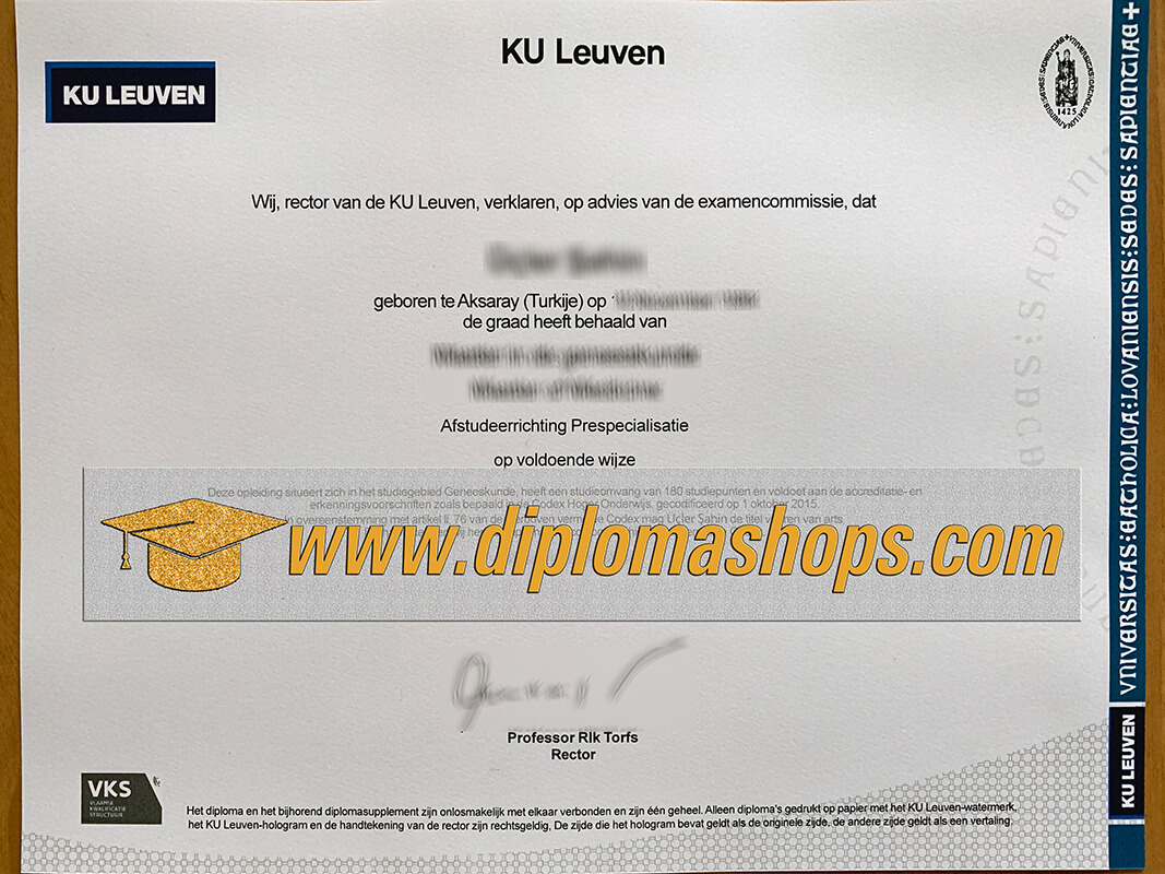 University of Leuven diploma