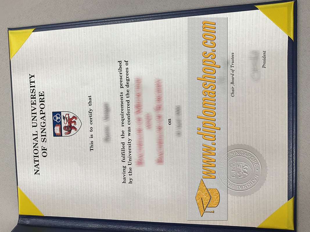 fake National University of Singapore diploma