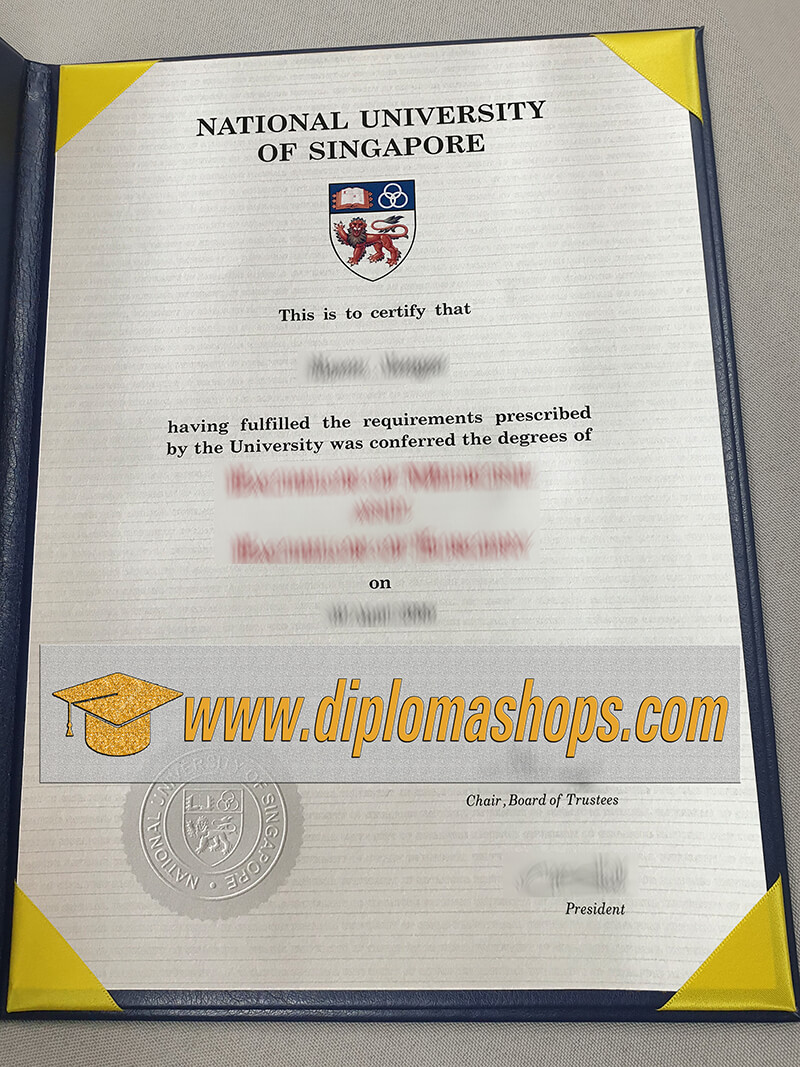 fake National University of Singapore diploma