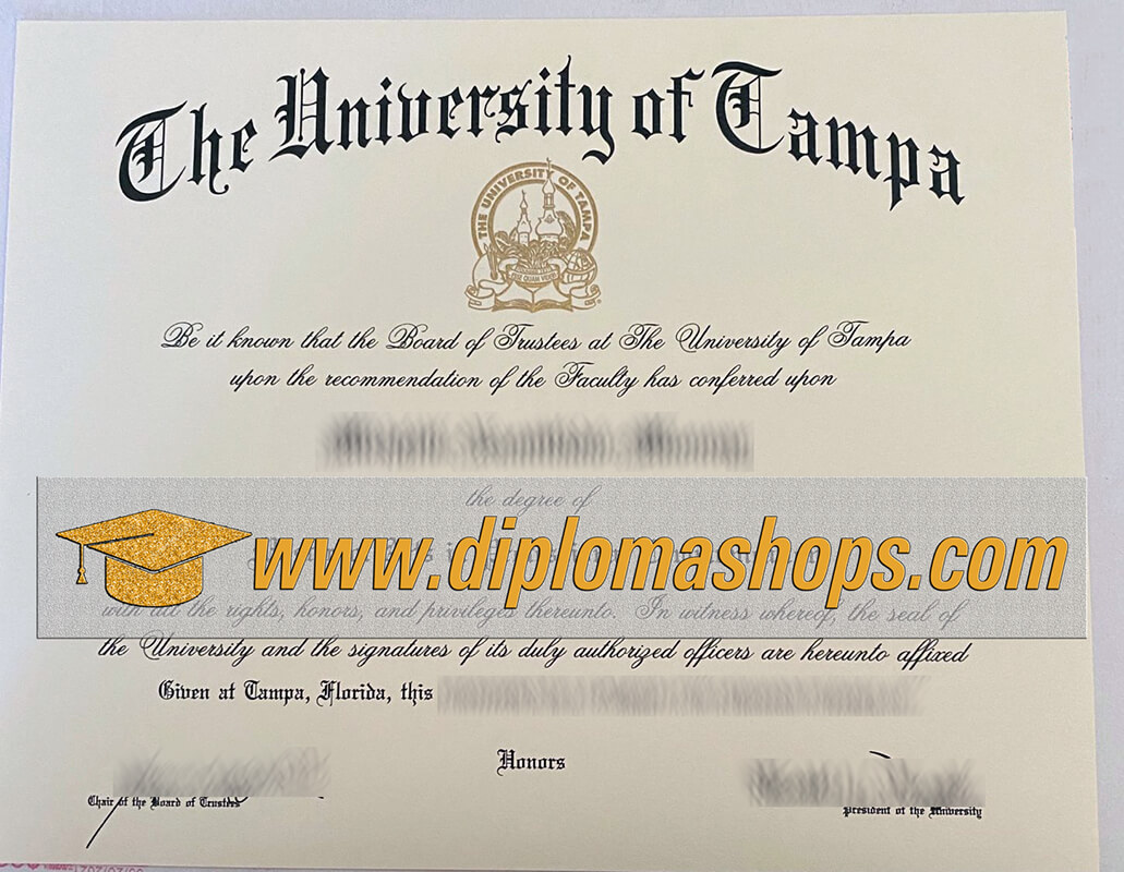 University of Tampa diploma 