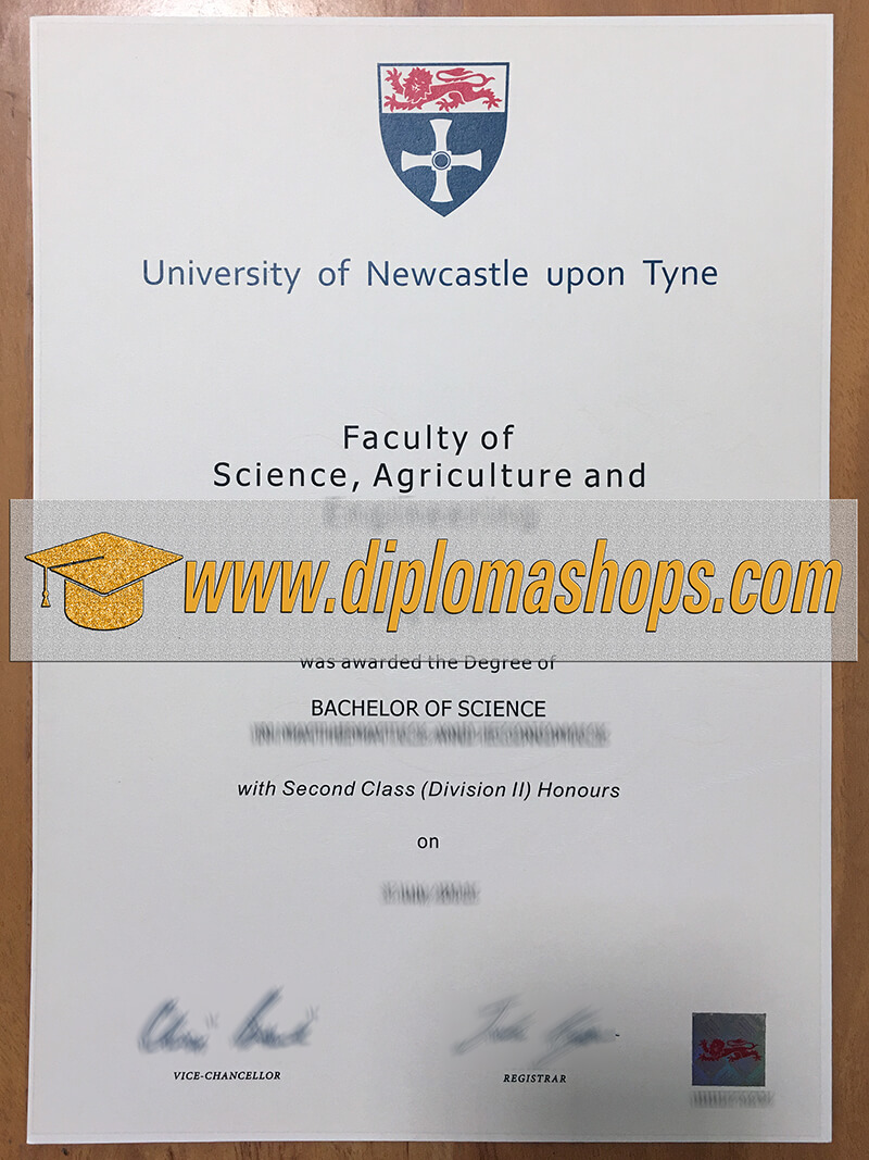 fake Newcastle University degree