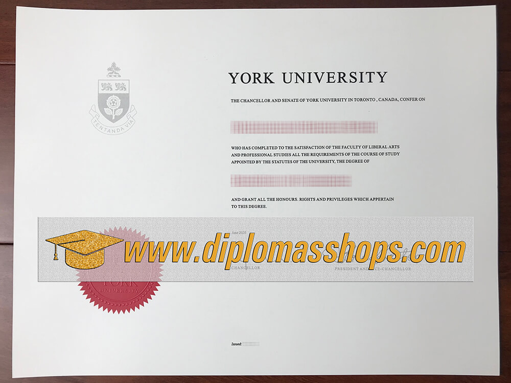 fake York University diploma, fake York University degree certificate